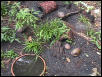 A few residents