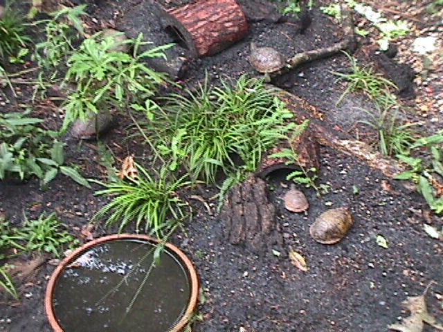 A few residents