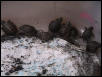 Baby Boxies 3