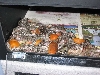 Litter