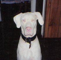 Kilo