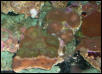 Saltwater Photos
