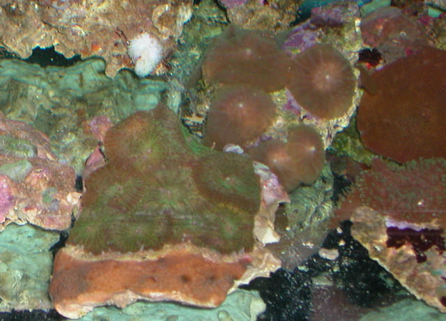 Saltwater Photos