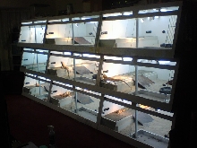 9 Cages
