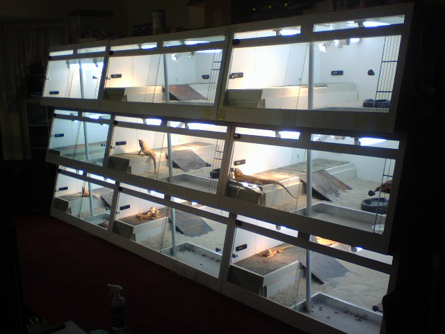 9 Cages