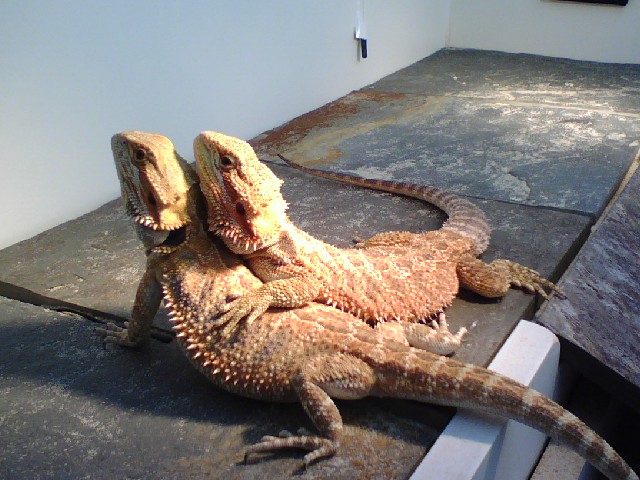A Tender Moment