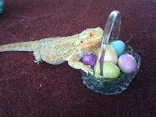 Easter09