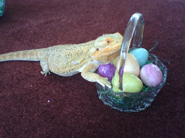 Easter09