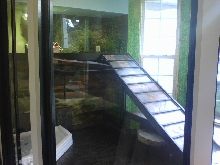New Ig Cage 2