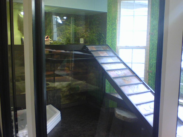 New Ig Cage 2