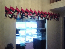 Dragon Stockings