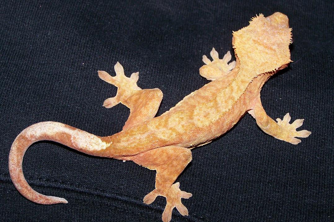 young female