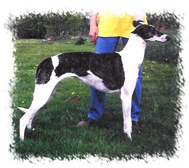 Chantze at 2 -- Right Stack