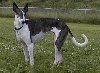 Chantze at 3 years old