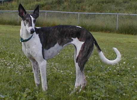 Chantze at 3 years old