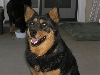 Nallah