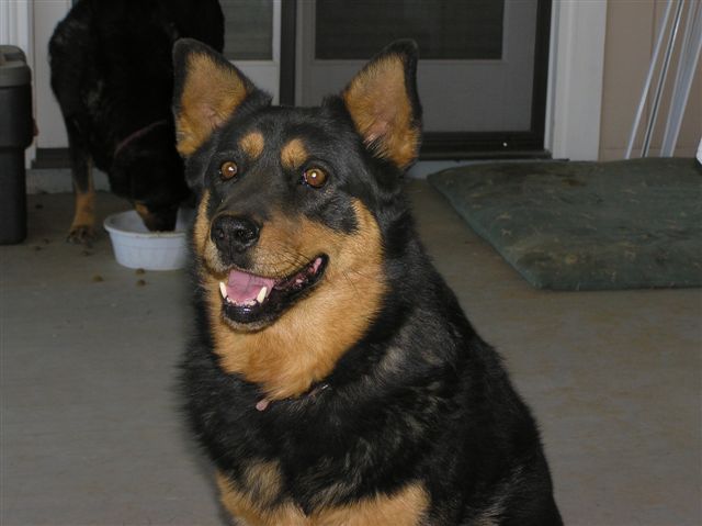 Nallah