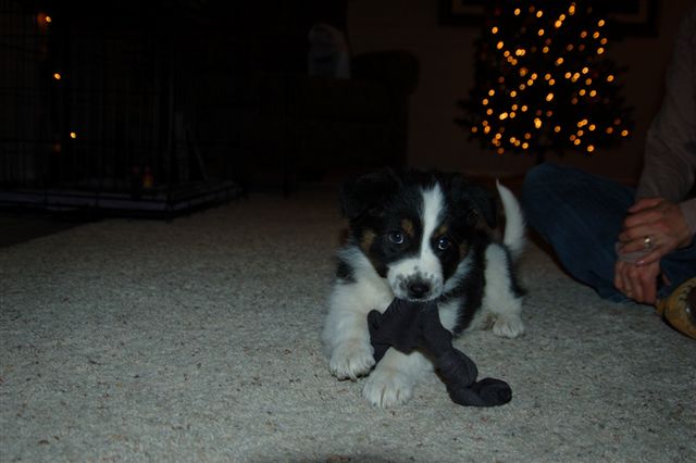 Missy