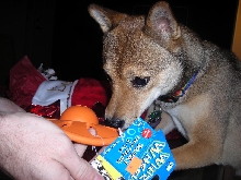 Hurry, I want to play with it now!