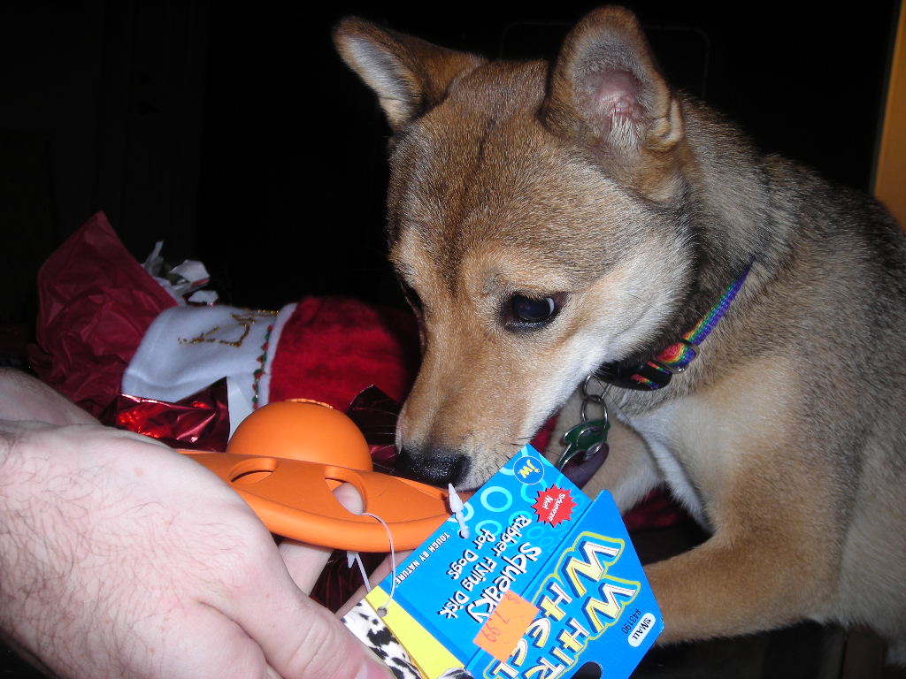 Hurry, I want to play with it now!