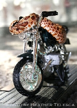 Hog on a Hog