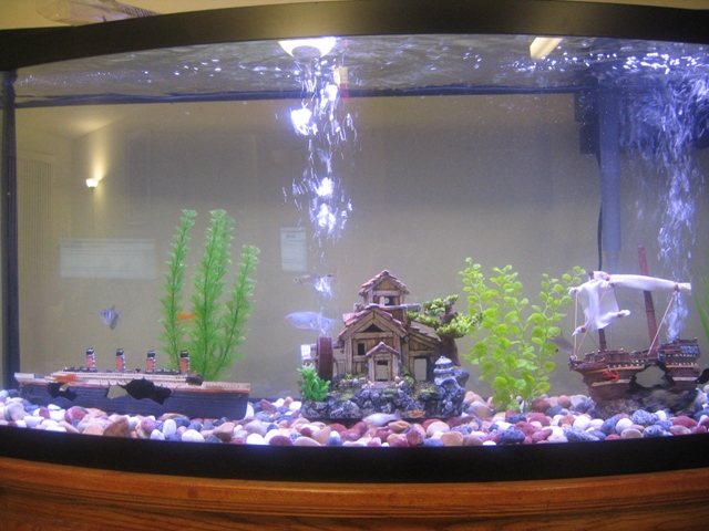 72 Gal Bowfront
