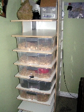 rack2