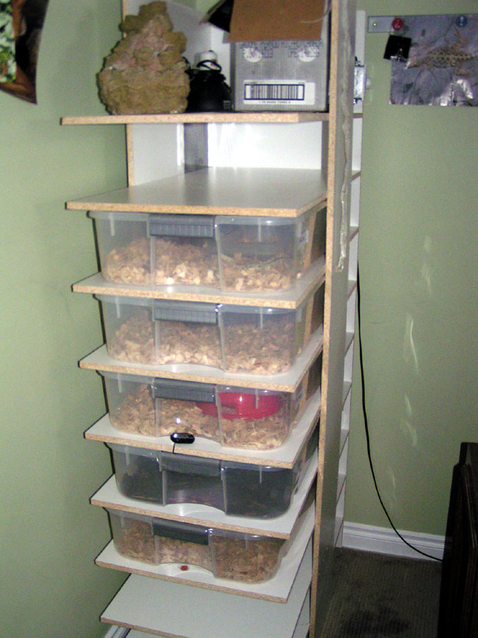 rack2