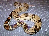Male pastel