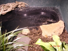 above front view of cage