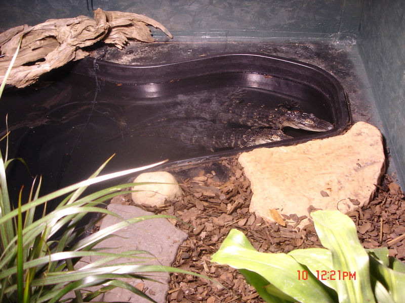above front view of cage