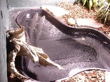 full view of pond