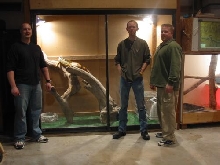 Iguana enclosure