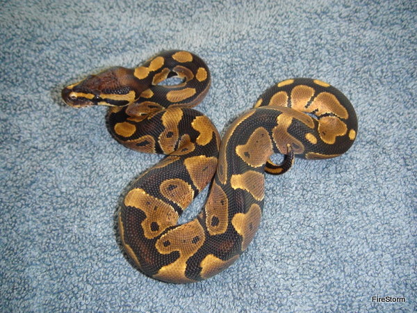 Reduced Pattern M #1
