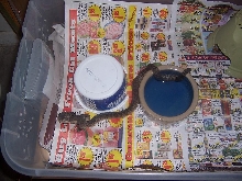 Aru Scrub