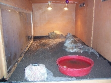Sav cage w/ sand