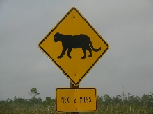 panther crossing sign