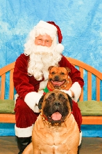 Petey and Chloe with Santa
