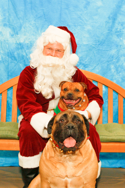 Petey and Chloe with Santa