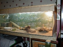 dee dee in new house
