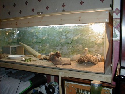 dee dee in new house