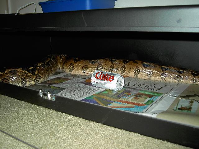 Big Mama
