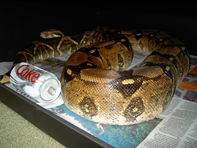 Big Mama