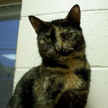 And Mindy too...