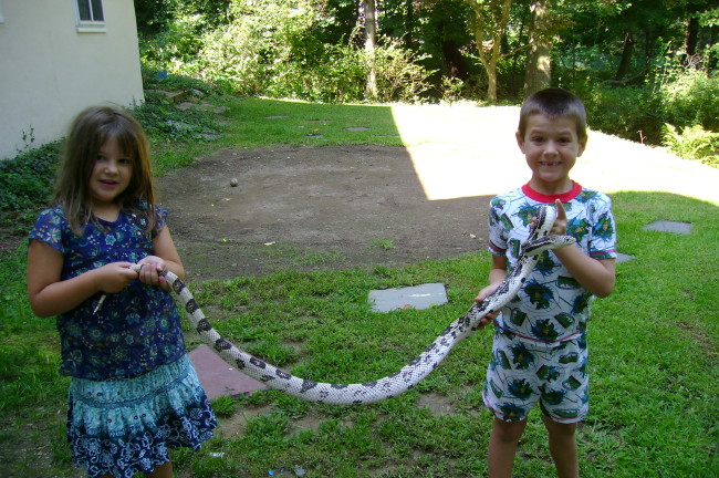 daddy's helpers