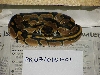 Female 100% het albino - F01 - SOLD