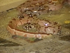Male striped tail - possible super hypo - $250