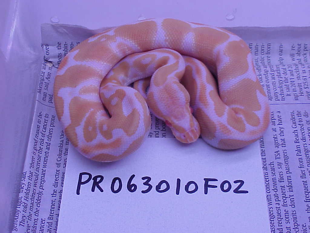 Female #2 - 121 grams as of 12/06