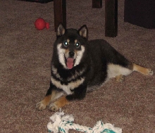 my boy