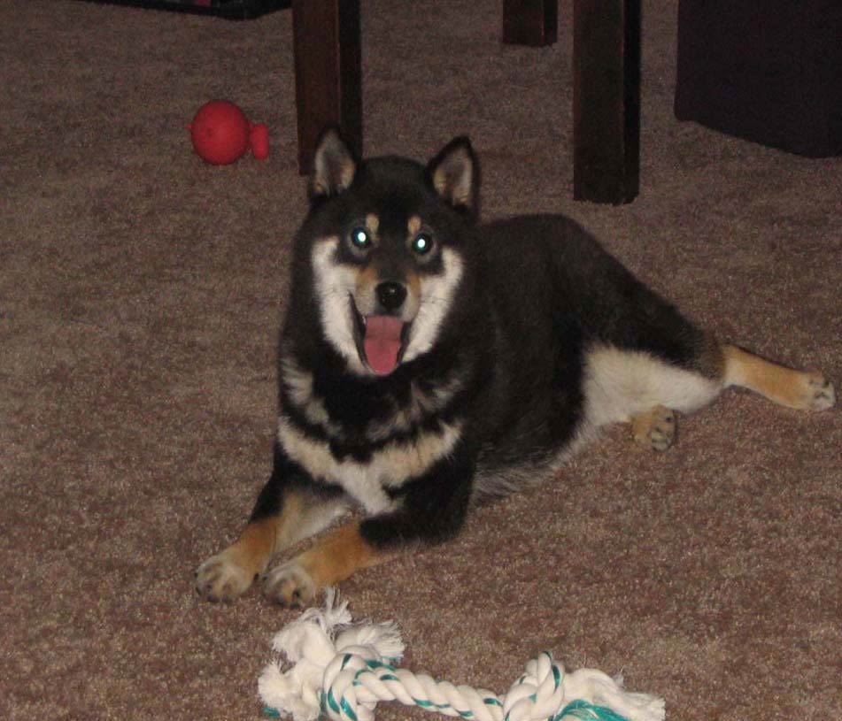 my boy